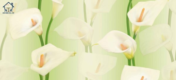 Giấy dán tường LILY
