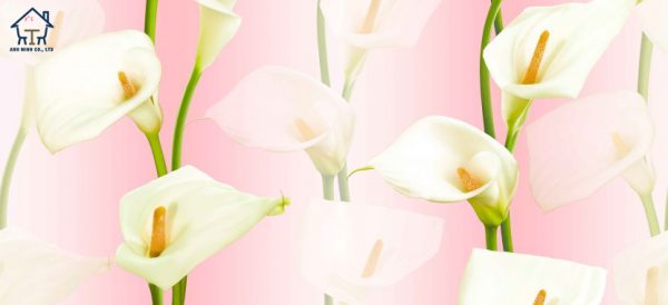 Giấy dán tường LILY
