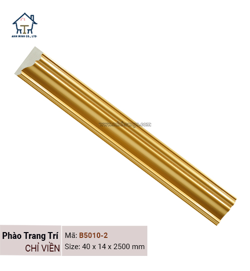 Chỉ Viền B5010-2