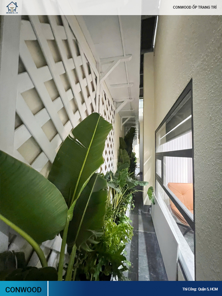 tấm conwood ốp trang trí