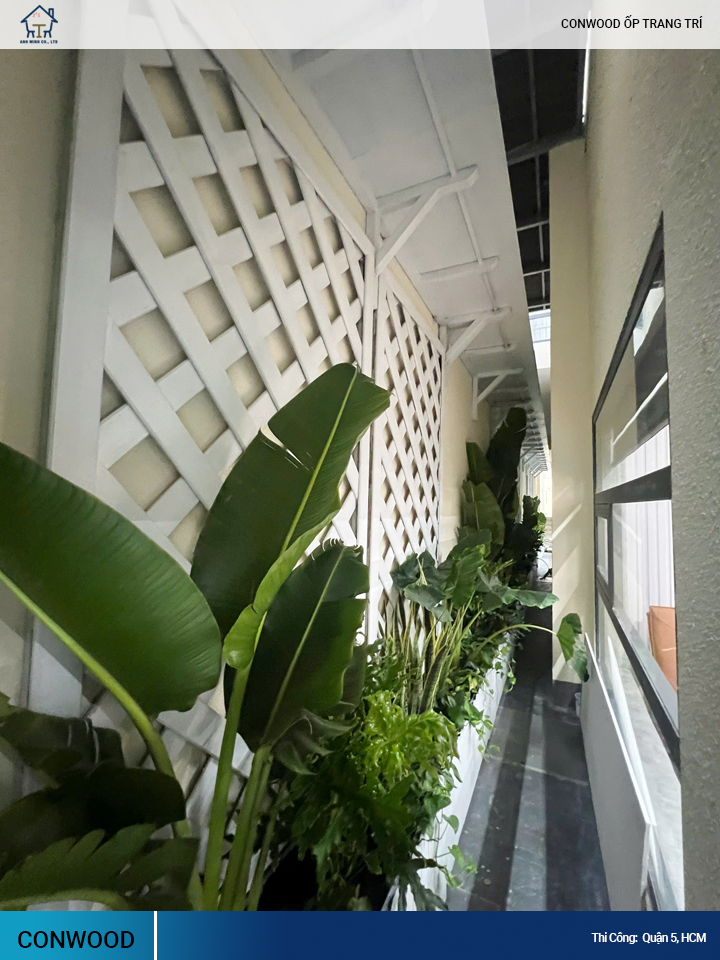 tấm conwood ốp trang trí
