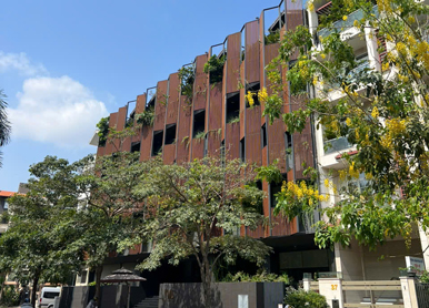 lam che nắng